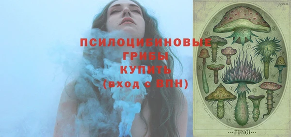 МДПВ Белокуриха
