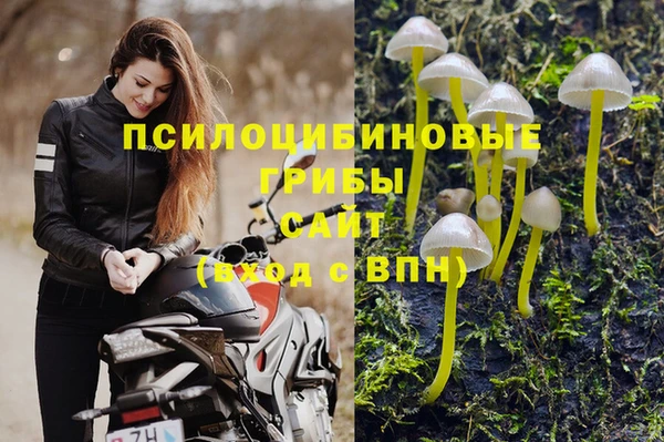 МДПВ Белокуриха