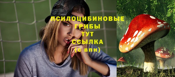 МДПВ Белокуриха