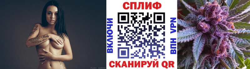 Каннабис сатива  купить наркоту  mega   Енисейск 